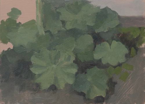 Garden 13 May 2024, oil on panel, 7x5in, Thalia